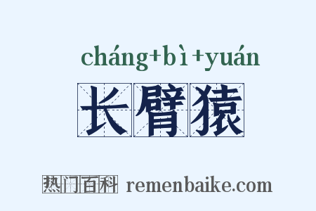 长臂猿是什么意思的图片